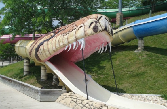 The Anaconda