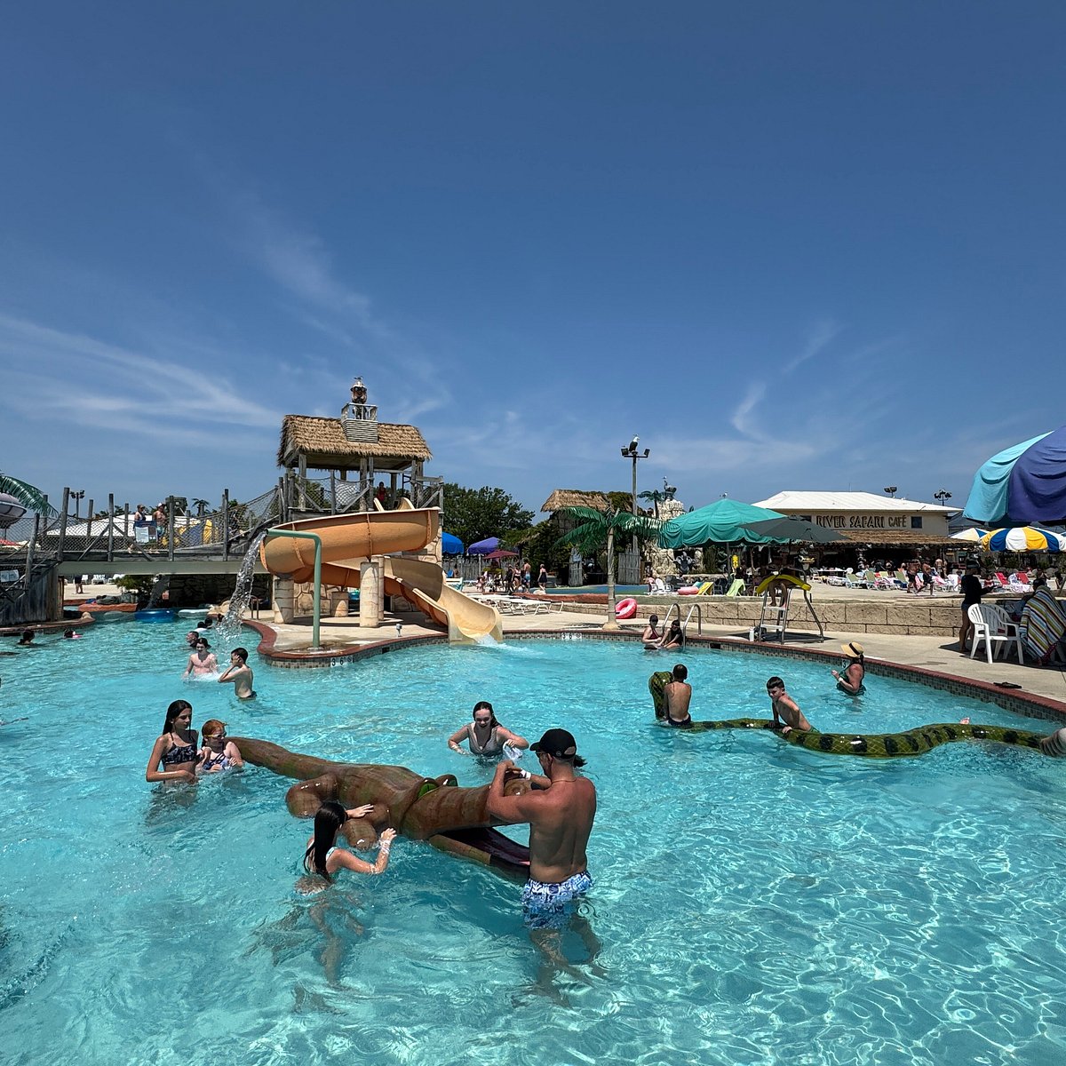 Activity Pool